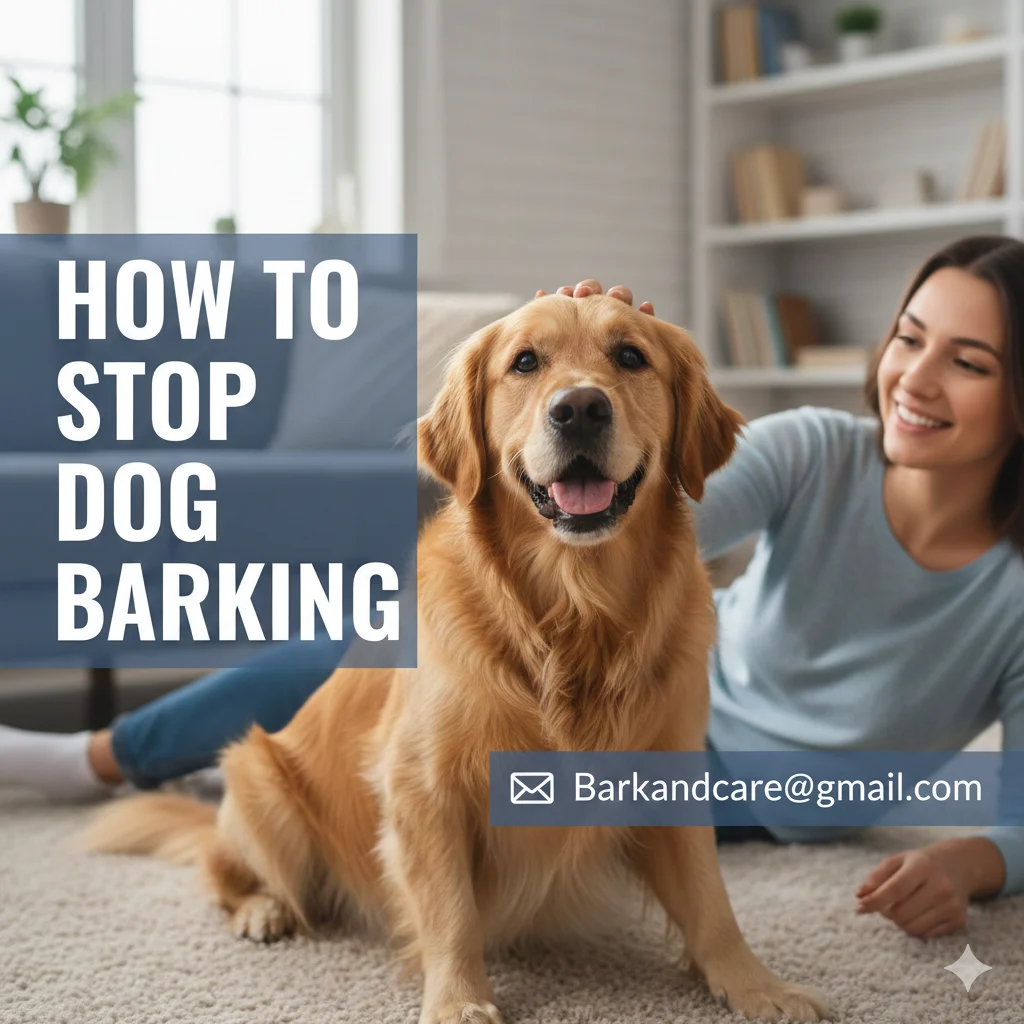 "Tips and techniques to stop a dog from barking excessively.