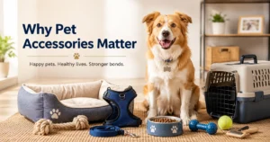 Dog with essential pet accessories including leash, harness, toys, and grooming supplies